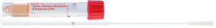 A close up of a red object  Description automatically generated