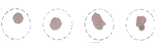 A close up of a pair of eyes  Description automatically generated