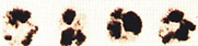 A blurry image of a tree  Description automatically generated