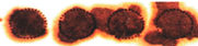 A close-up of a red circle  Description automatically generated