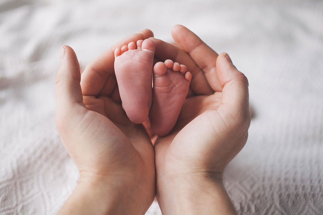 Tamizaje Prenatal Referencia Laboratorio Cl nico
