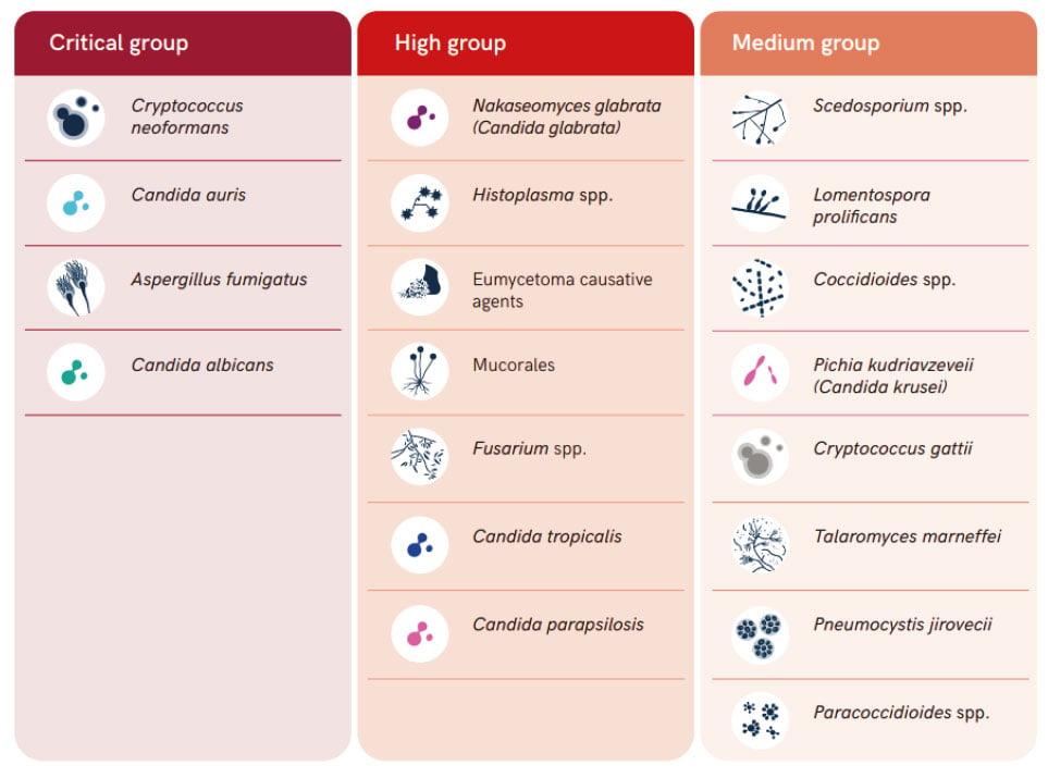 Micosis patógenos fúngicos